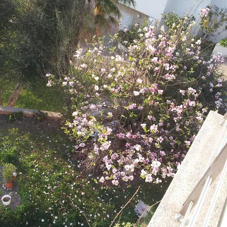 Gorgeous Looking To Douro