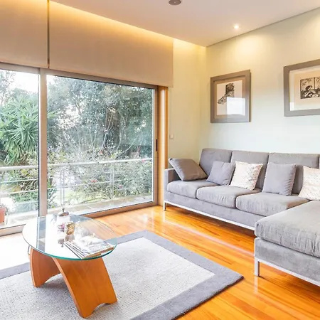 Gorgeous Looking To Douro Jovim