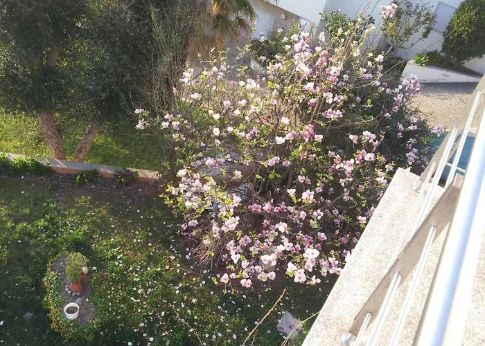 Gorgeous Looking To Douro