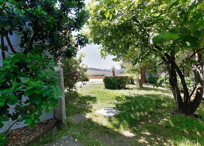 Gorgeous Looking To Douro *