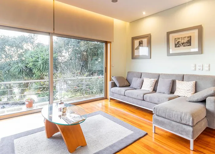 Gorgeous Looking To Douro Jovim