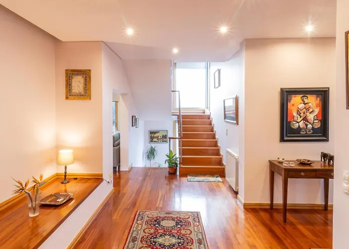 Gorgeous Looking To Douro Jovim