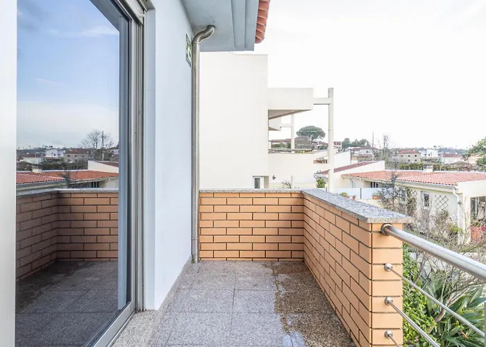 Gorgeous Looking To Douro * Jovim